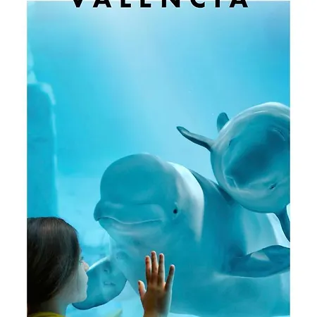 Alojamientovalencia-Barrio Ruzafa *